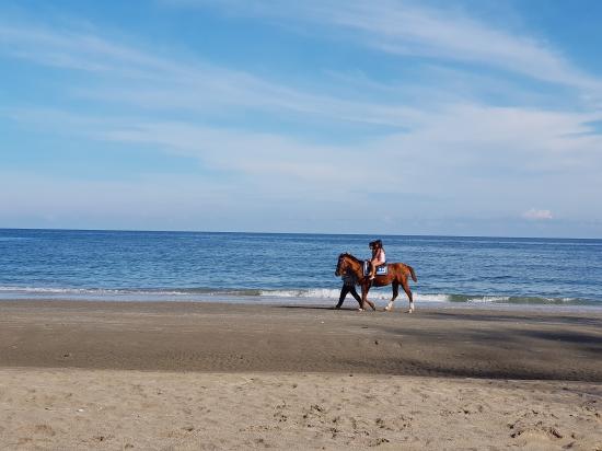 horse riding beach 3348711 1920