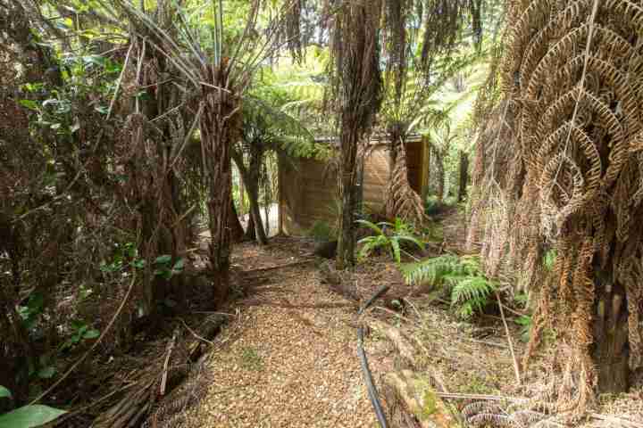 Garden path to cosy sleepout in Waiheke Island bush at Karaka Sanctuary