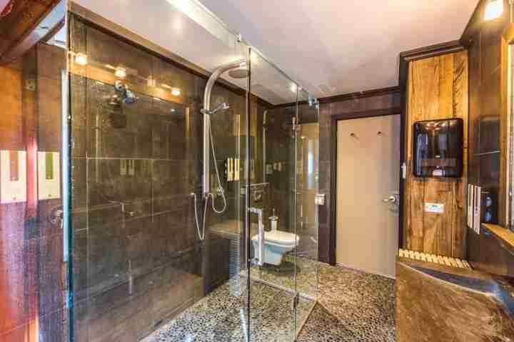 Master ensuite at the lodge with shower, vanity and toilet