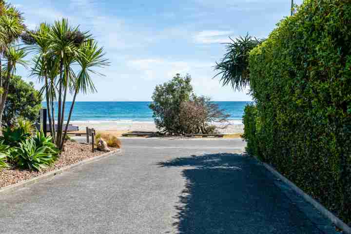 Driveway, palm trees and beach view from Sanctuary on The Beach