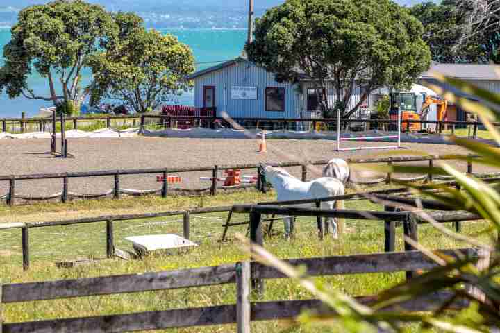 Tikirau Bay Views Horses on the doorstep